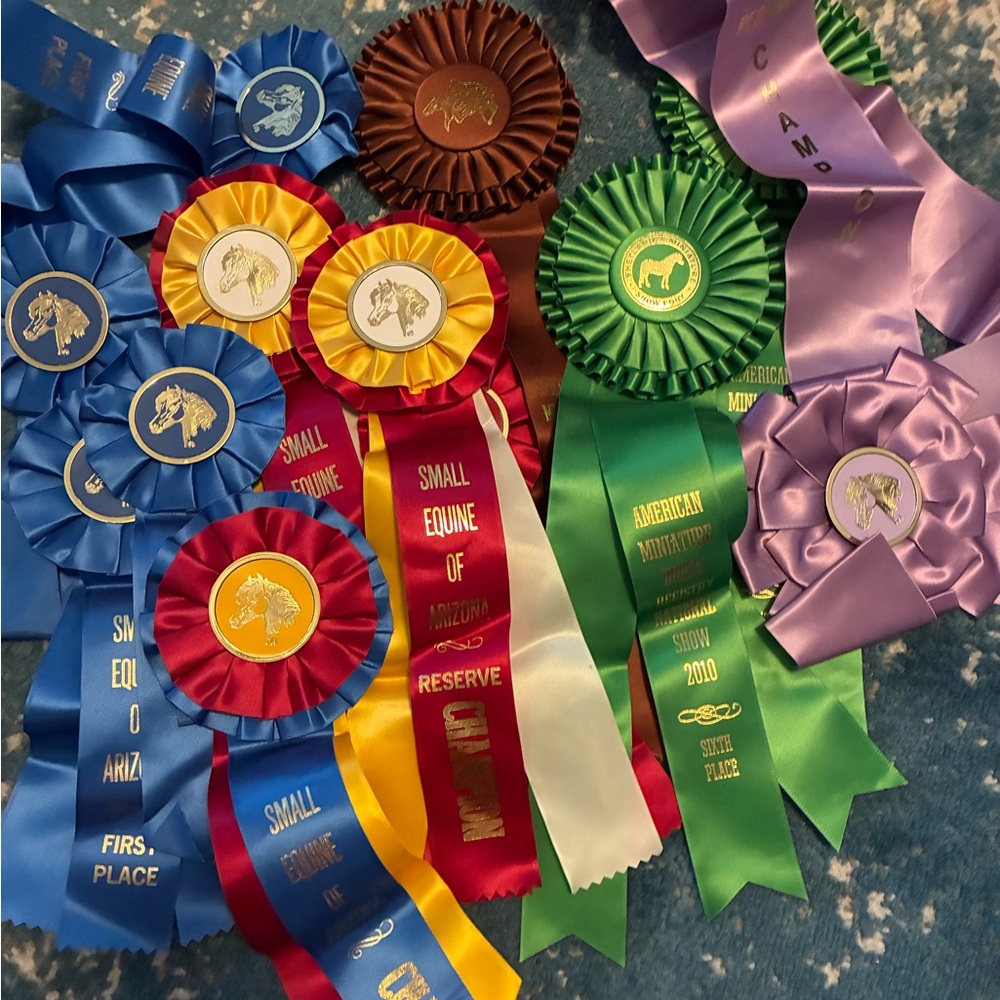 Ribbon Award Pack - Multicolor Horse Show Rosettes
